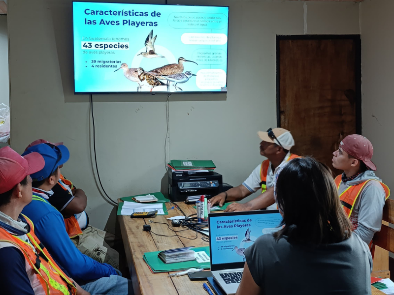 Training on shorebirds and their conservation with shrimp farm staff. Photo courtesy of the Fundación Defensores de la Naturaleza