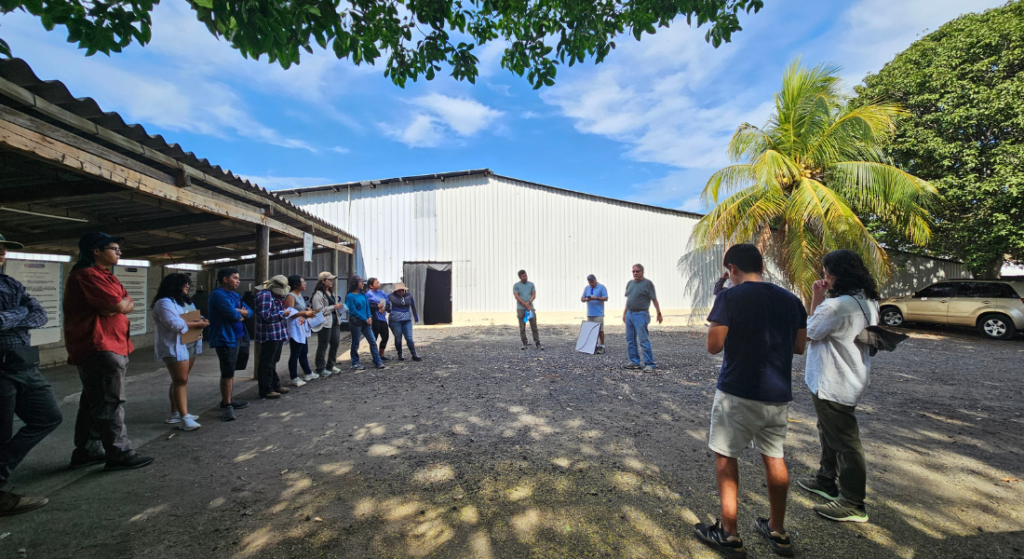 Visit to the shrimp larvae production laboratory with students from the Center for Marine and Aquaculture Studies (CEMA). Photo courtesy of the Fundación Defensores de la Naturaleza