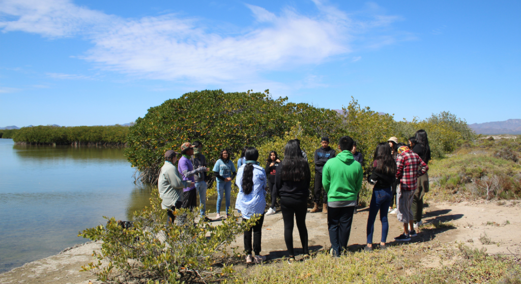 Grupo juvenil de la comunidad Comcaac en Punta Chueca en una salida a campo con el Programa de monitoreo de Aves Acuáticas del Centro Prescott. Foto cortesía Centro Prescott.