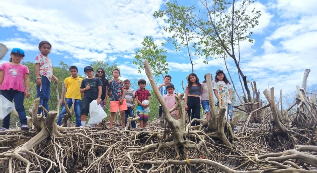 Children take part in a beach clean-up among the mangrove roots at Playa El Venado, strengthening their connection to coastal ecosystems and promoting care for the habitat of shorebirds and mangroves. El Venado community, Gulf of Fonseca, Honduras. Children committed to shorebird conservation. Photographer: Dariana Torres – Aves Honduras.