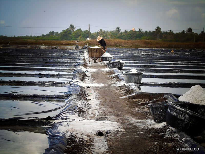 Salt production pond in Guatemala
