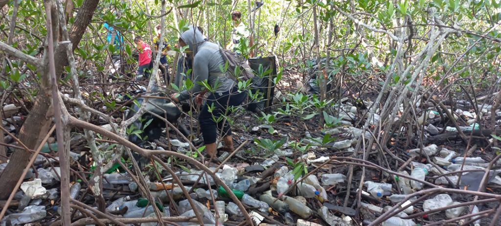 Citizen action to clean up solid waste in the mangrove